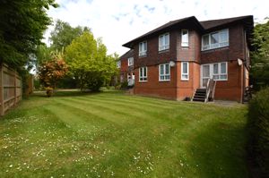 Communal Garden- click for photo gallery